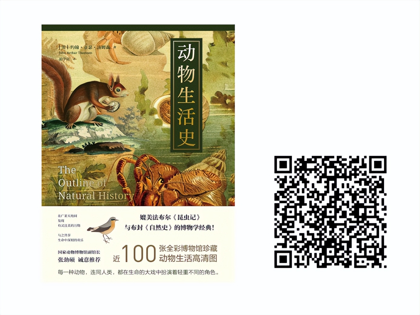 百馆荐书|万物有灵和谐共处——治愈系宠物书单