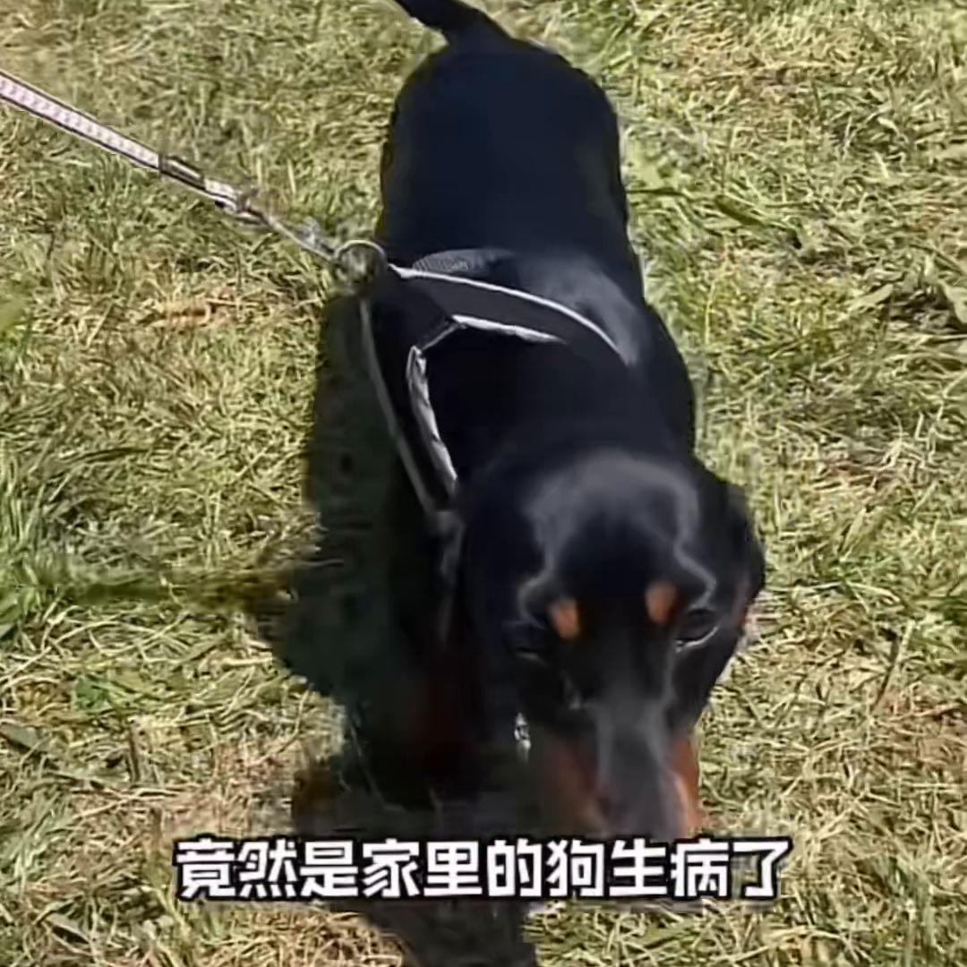 中外差异英文版,中外差异案例