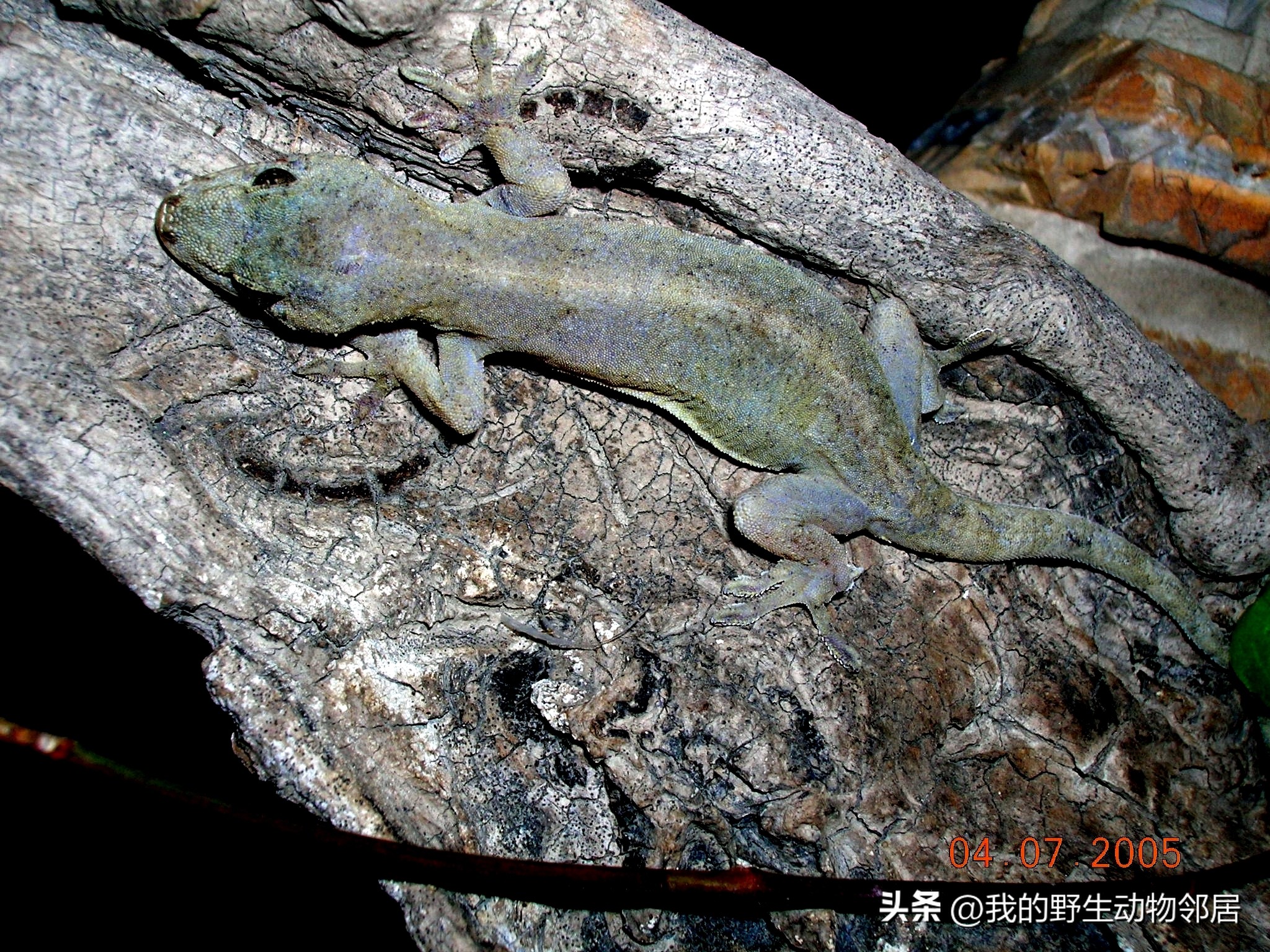 韩湘水博园内部,上海闵行韩湘水博园视频