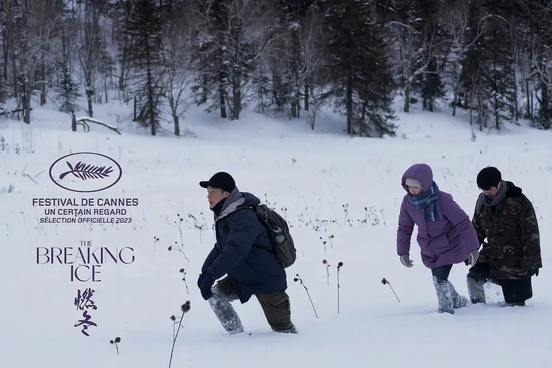 刘昊然和周冬雨戛纳燃冬采访,周冬雨刘昊然新电影杀青