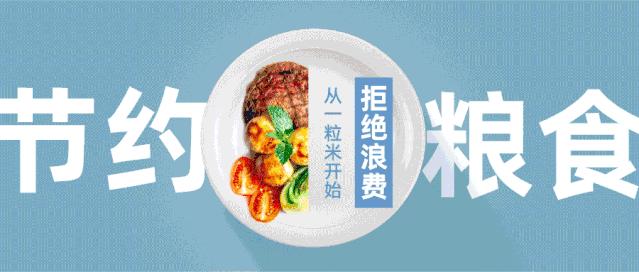 庭院经济养鸽助力乡村振兴,乡村振兴养蛋鸡