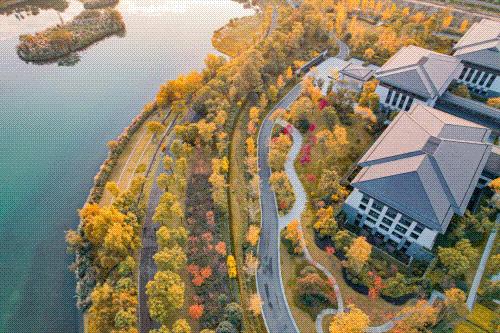 成都游玩设施最多的公园,成都2020年游玩的新公园有哪些