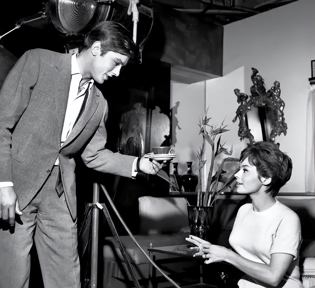 郁金香泡沫对于荷兰有何影响,荷兰郁金香泡沫最大的赢家是谁