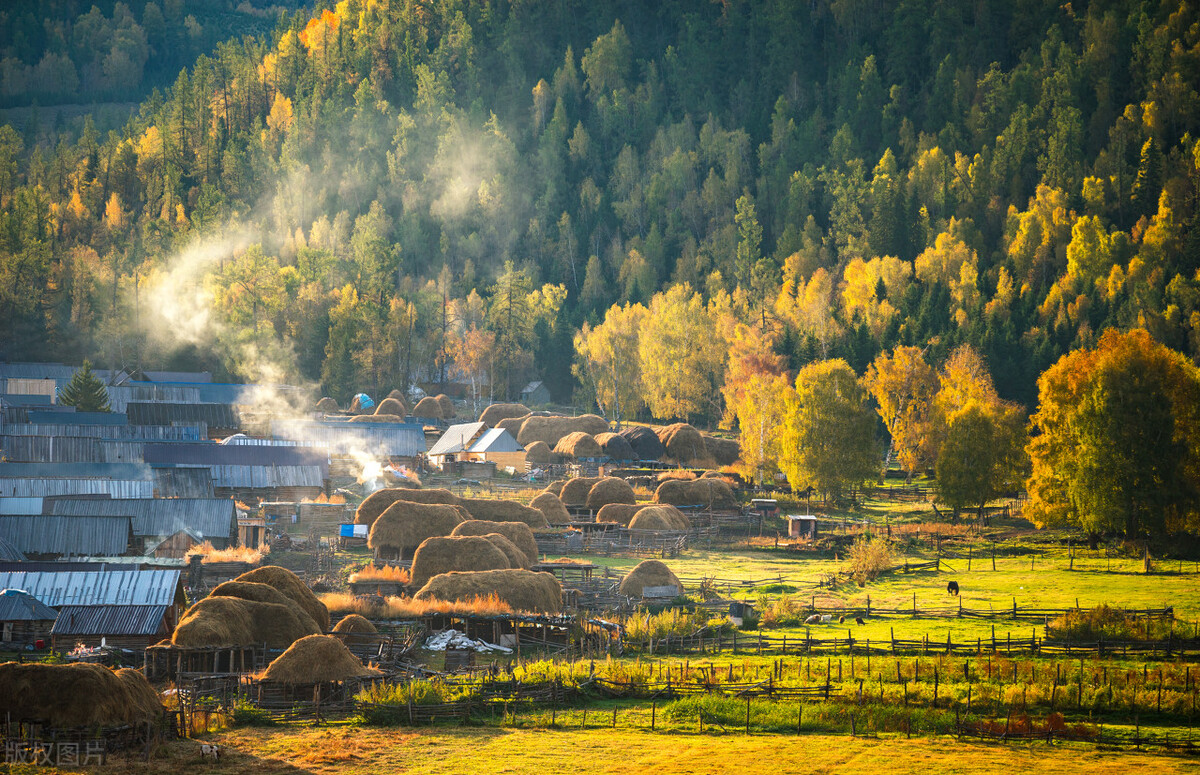 阿里巴巴有双11促销活动吗,阿里巴巴双11真实目的