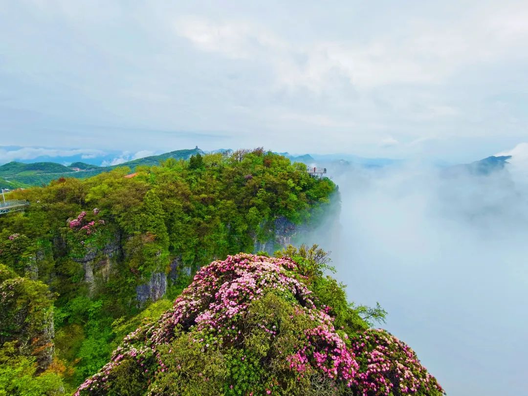 机票价格大跳水错峰出游正当时,错峰出游正当时旅游市场淡季不淡
