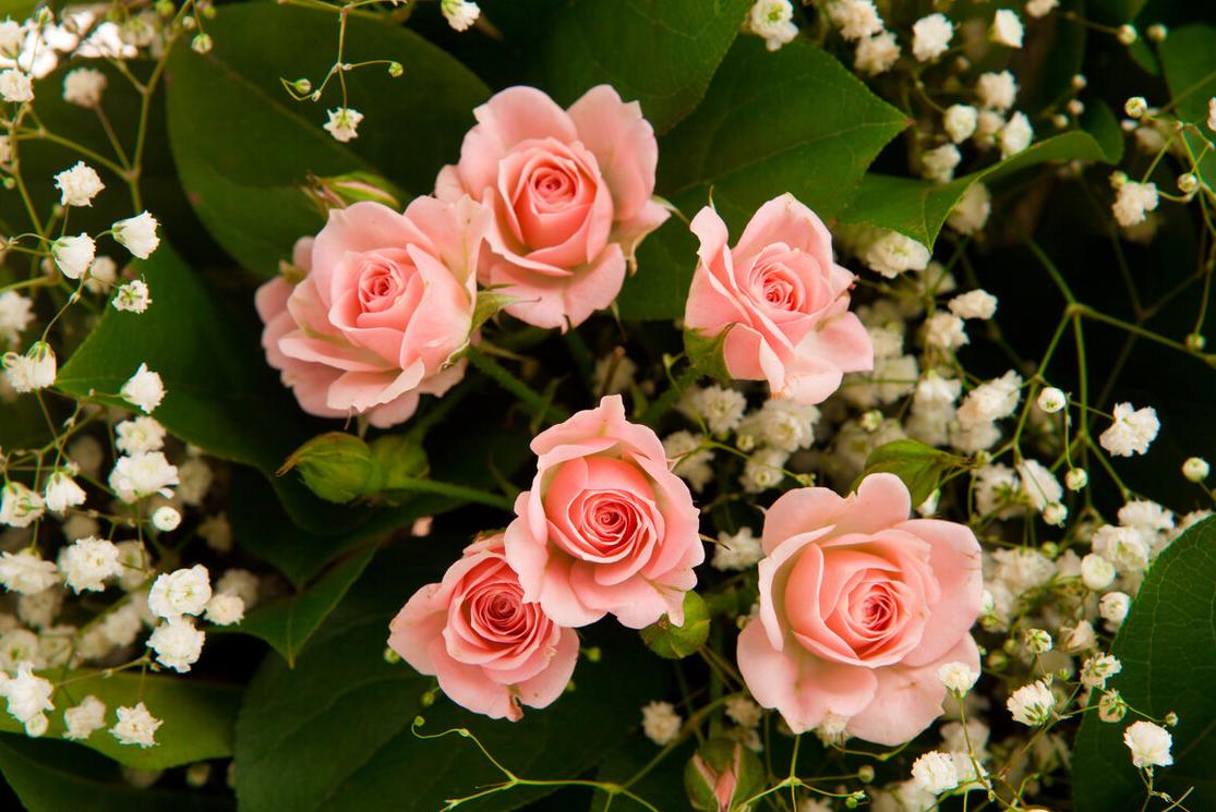 情侣之间有一样东西不能送，该送什么代表什么意思，七夕你试试