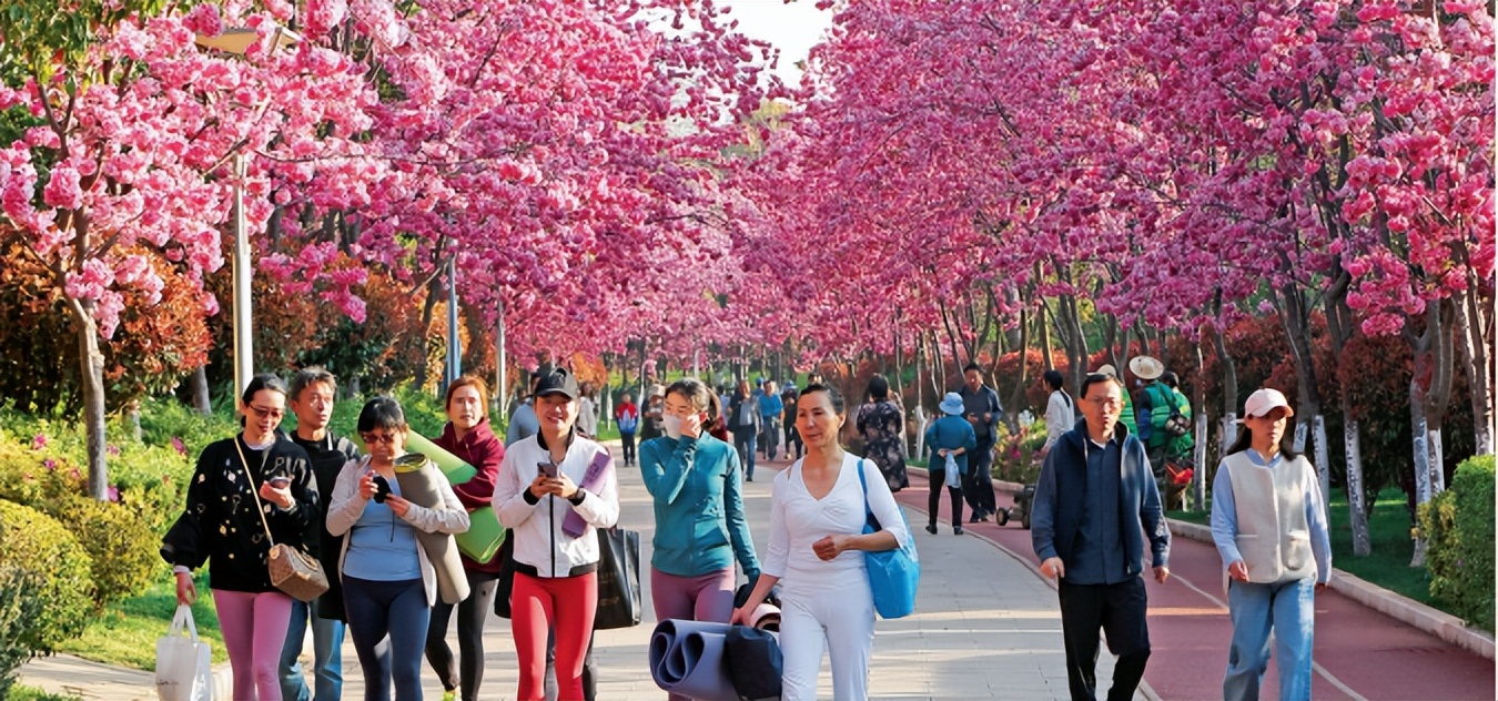 梦想花开的地方云南民族大学,呈贡看花的地方