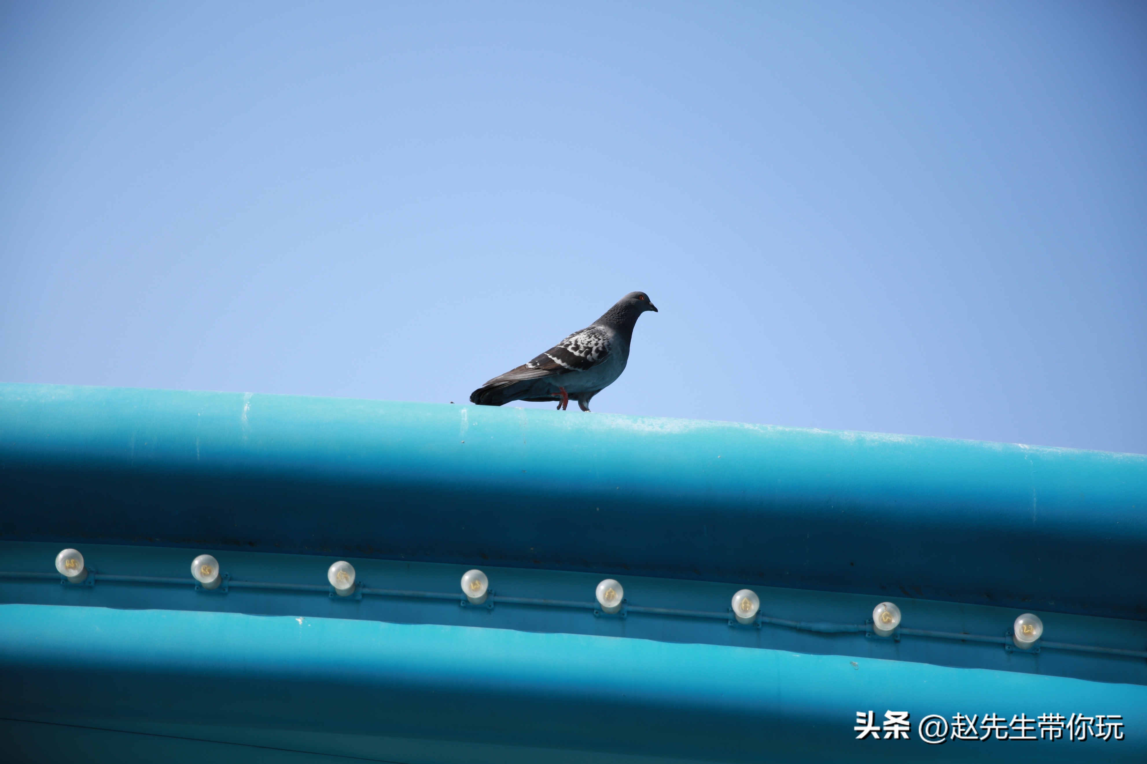 二十年游历分享,20年旅行总结