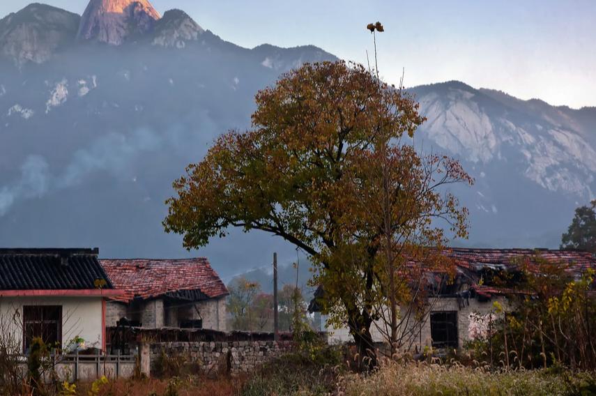 广西“女色虎”赵丽：强迫司机发生关系6年，疯狂敛财1344万