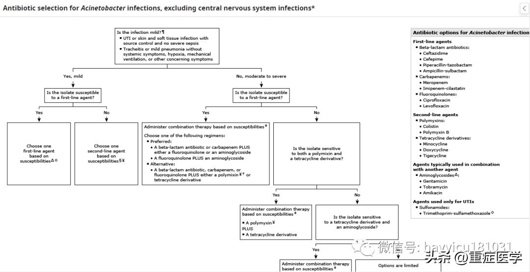 不动杆菌的抗生素规范化诊疗