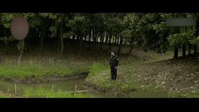 三家店盗窃案最新结果,上海保险柜盗窃案例分析