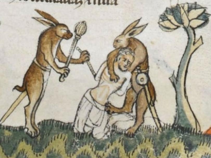 我的世界早期的杀手兔,我的世界唤醒杀手兔的真实形态