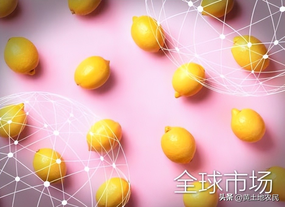 柠檬市场理论,全球柠檬酸市场