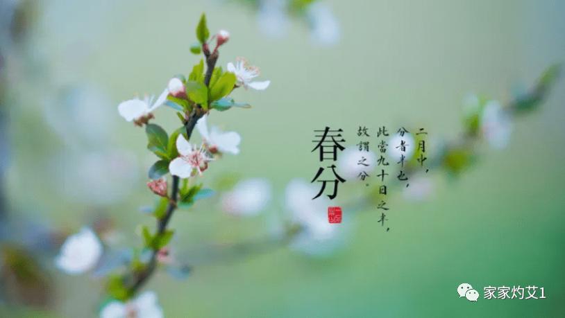 春季艾灸养肝护脾胃的方法,春天艾灸疏肝健脾祛湿