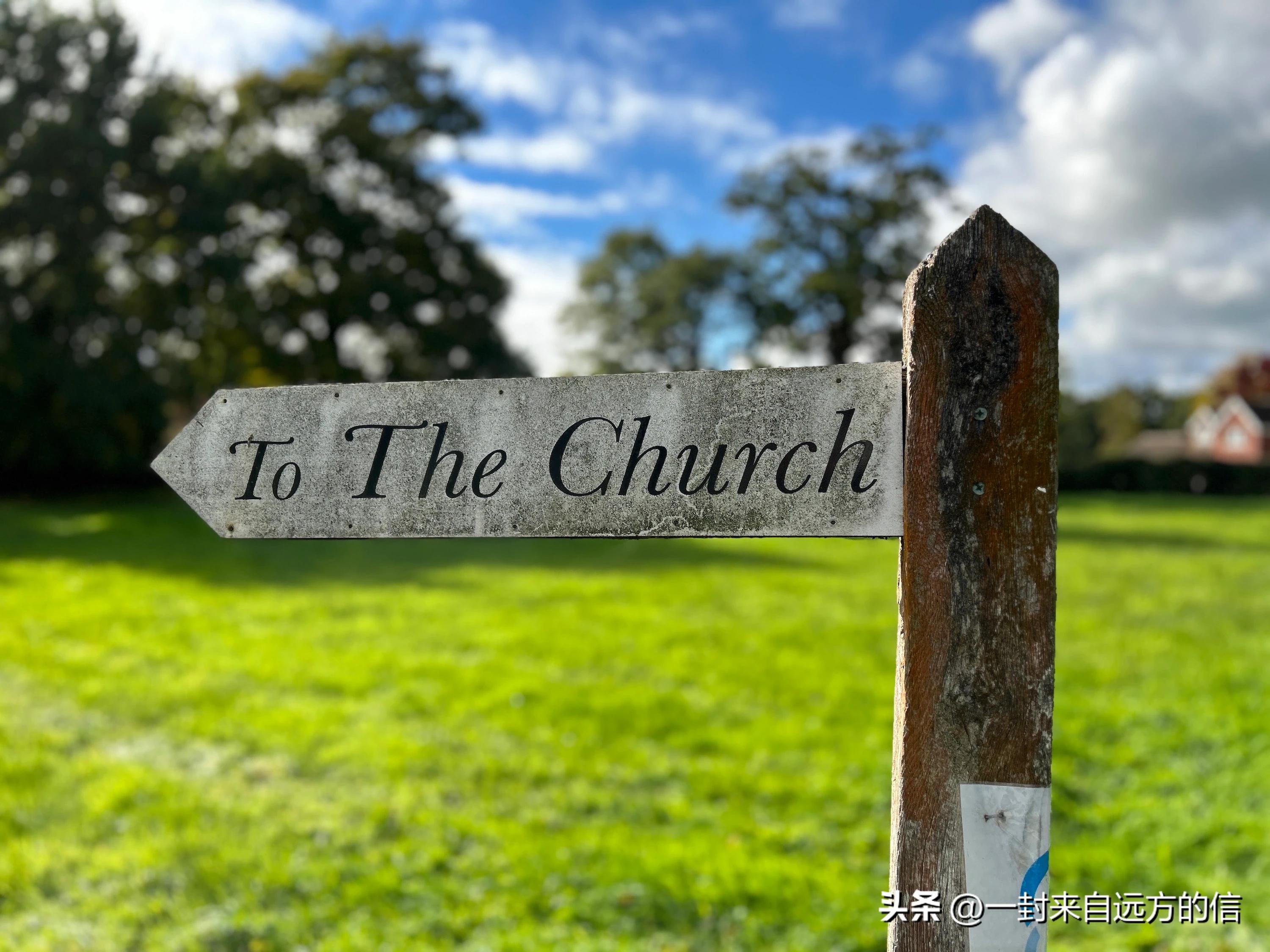 谷歌pixel7a对比三星s23,谷歌pixel7pro