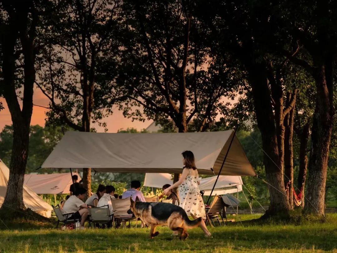 上海露营卡丁车哪里好玩,魔都自驾露营怎么玩