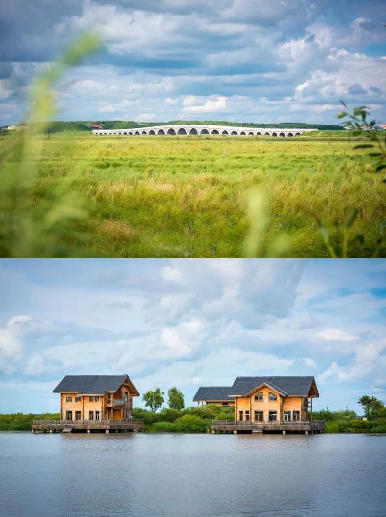 豪华专列游北疆,豪华软卧旅游专列