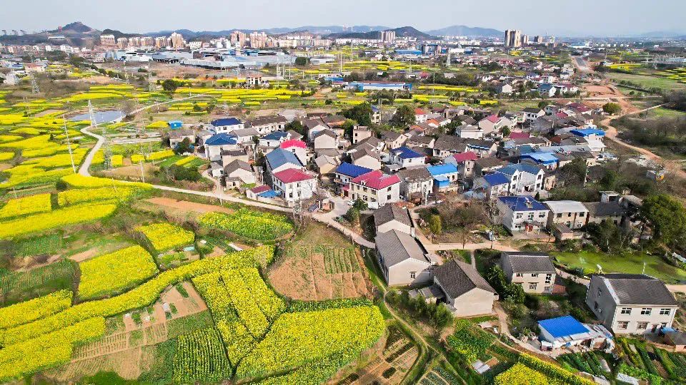 鄂州市泽林镇最新消息,鄂城区泽林镇泽林街