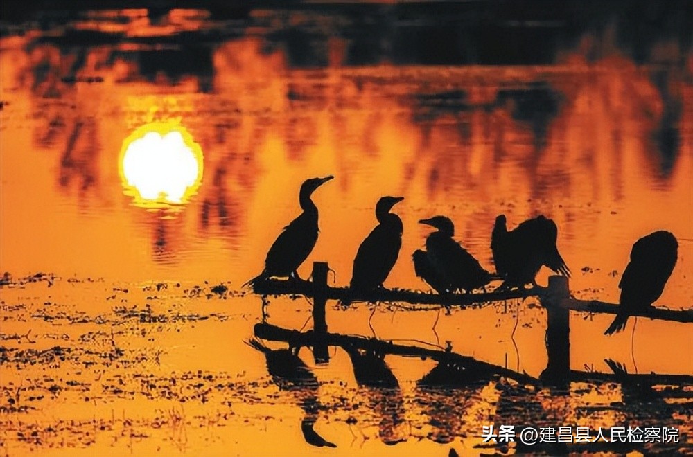 收麦记运城,收麦记账