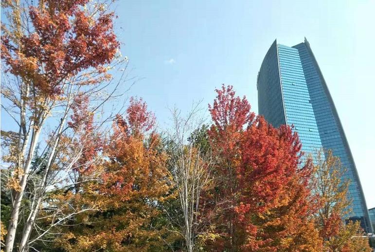 国风美唐二手房为什么贵,国风美唐和新龙城买哪个