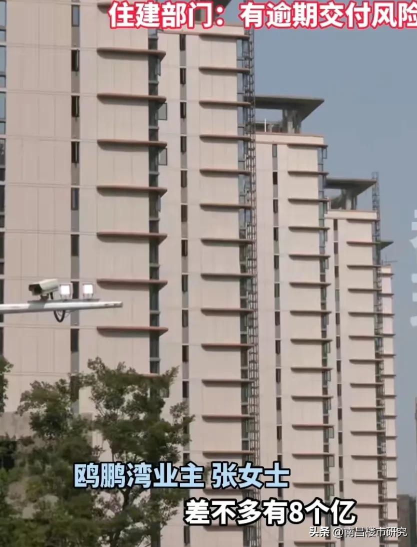 鸥鹏湾会不会烂尾,欧鹏湾业主