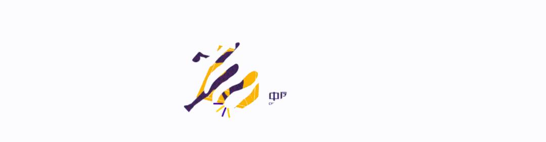 全国手球超级联赛排名女子,手球超级联赛山东