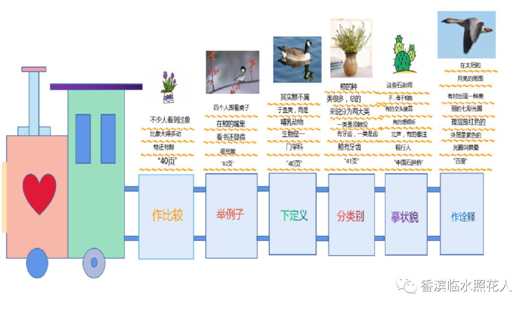 五年级我的心爱之物讲解,五年级我的心爱之物课文写玩具熊