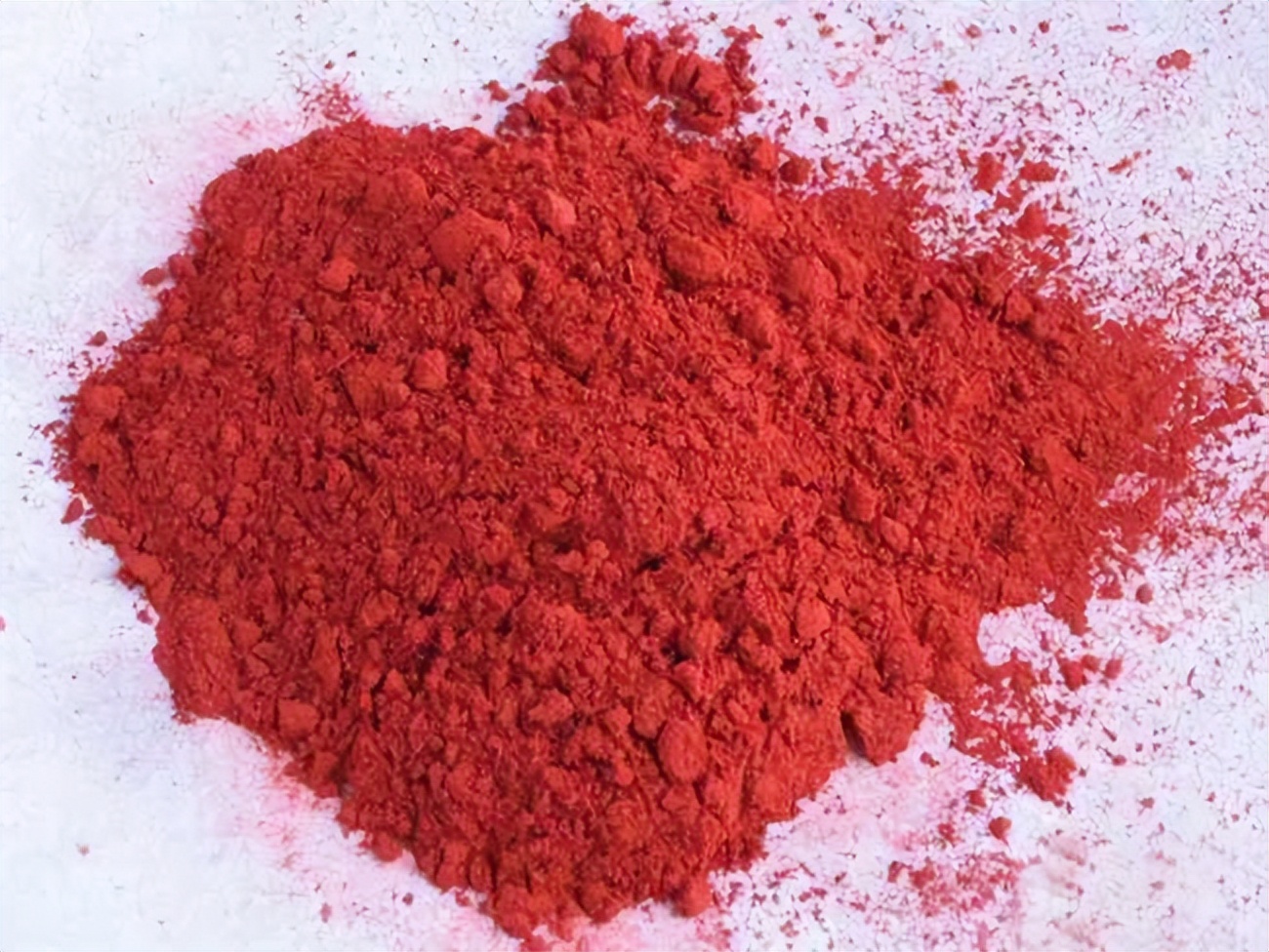 山东孔林存在2400年,周围不见乌鸦蛇鼠,只因林中有这两样东西