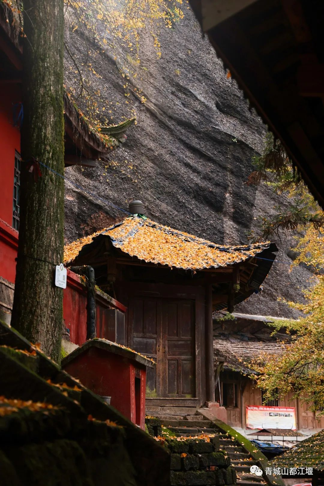 立冬气温仅13℃!快来领取都江堰专属的『入冬四件套』,品围炉暖食、享竹林温泉......成都1.5h直达~