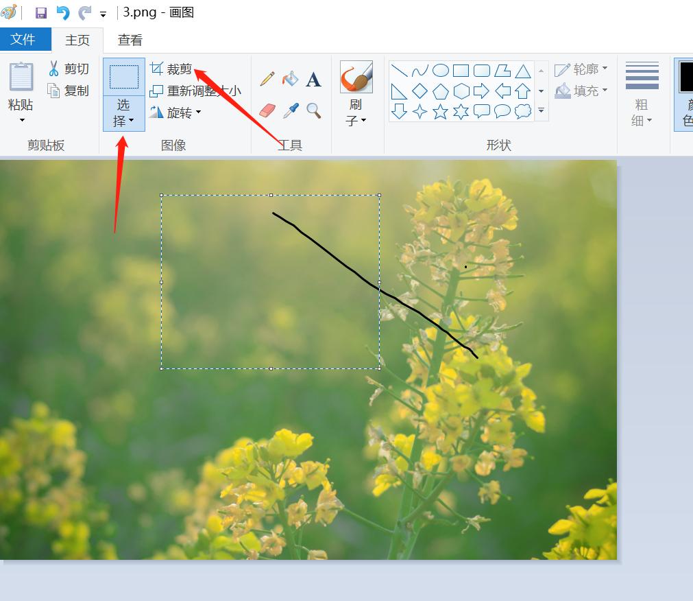 批量裁剪各种尺寸,ps如何批量裁剪固定尺寸