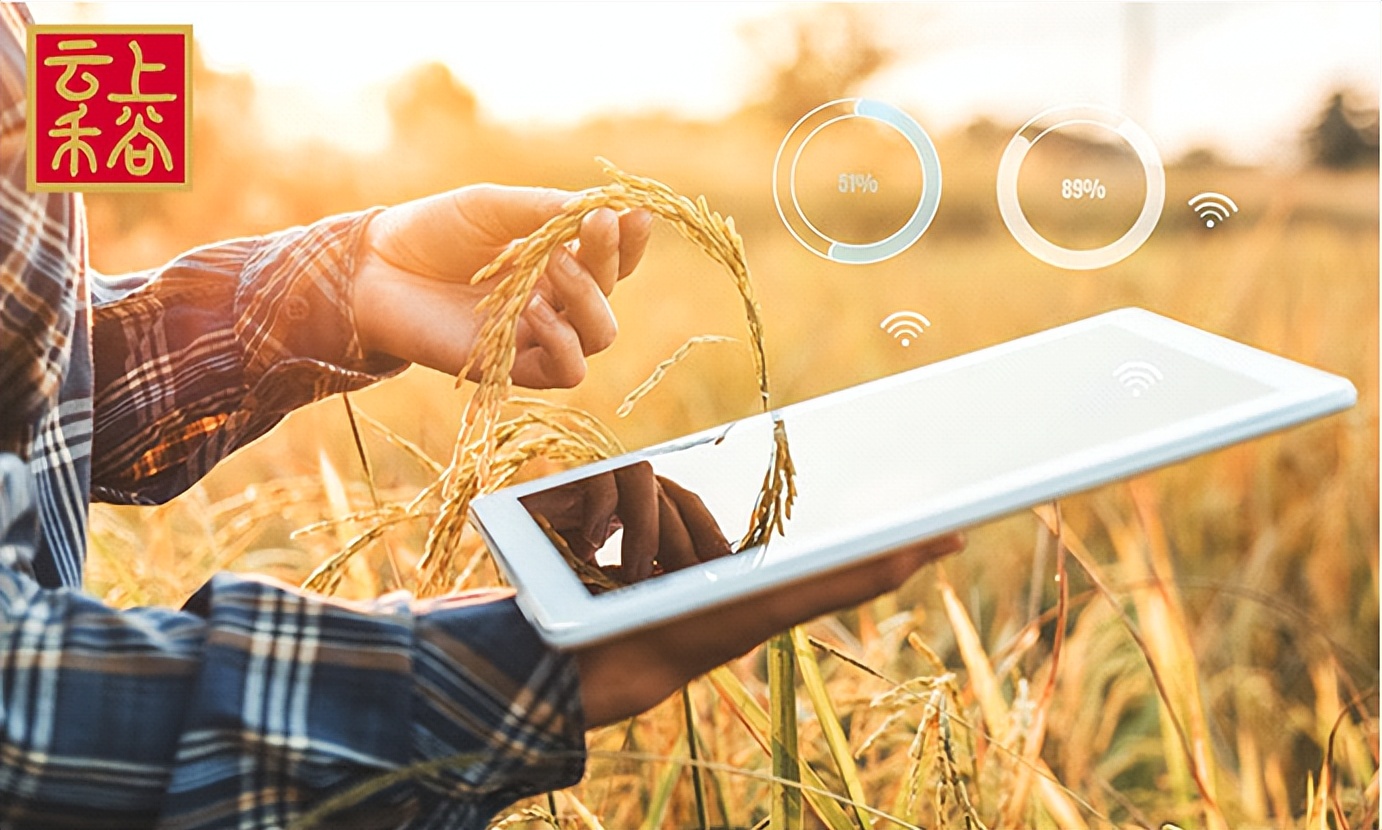 开一家粮油店联营好，还是独立经营更优呢