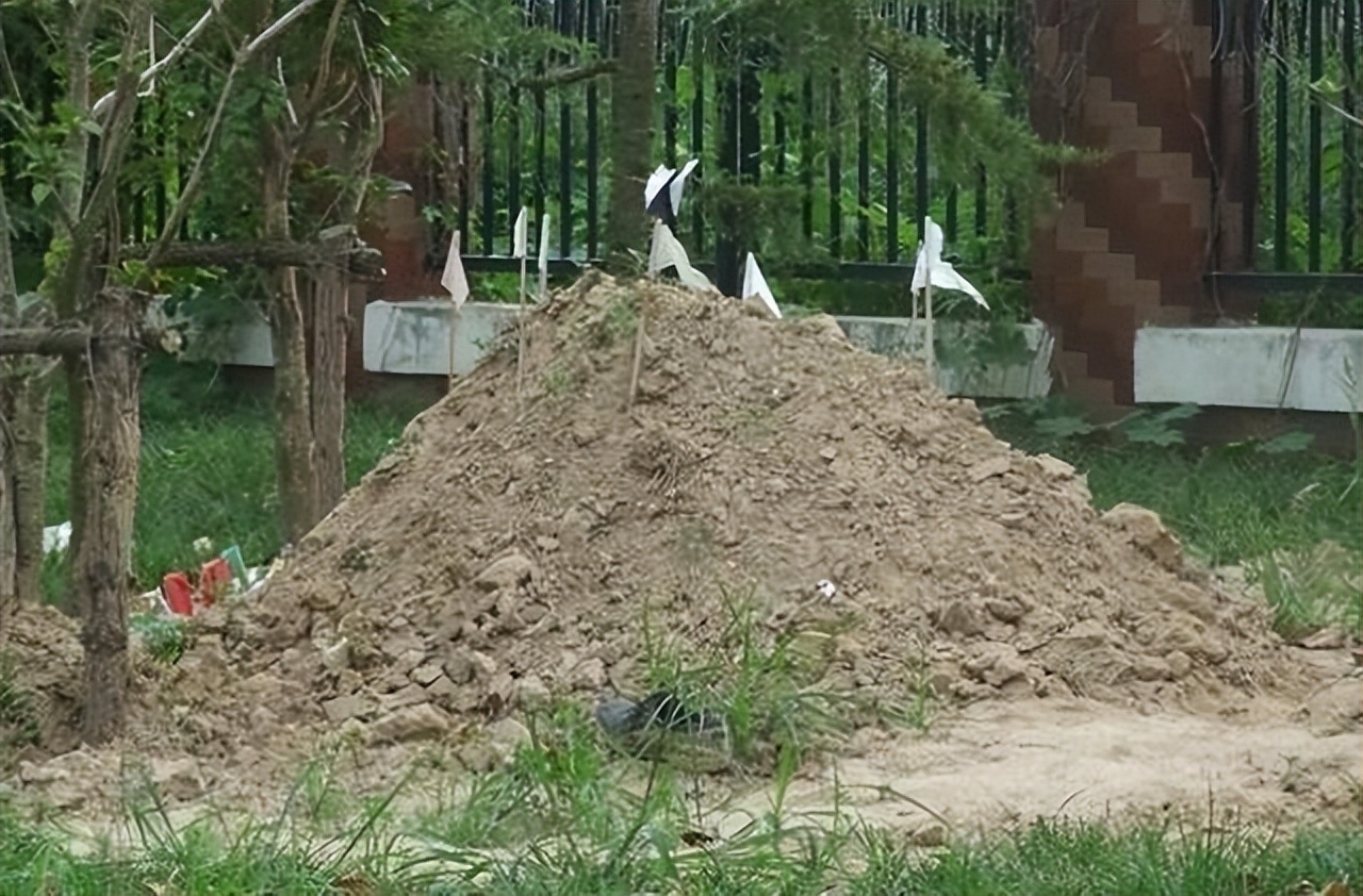 坟前生洞子孙穷啥意思,古人说生男生女是祖坟积德