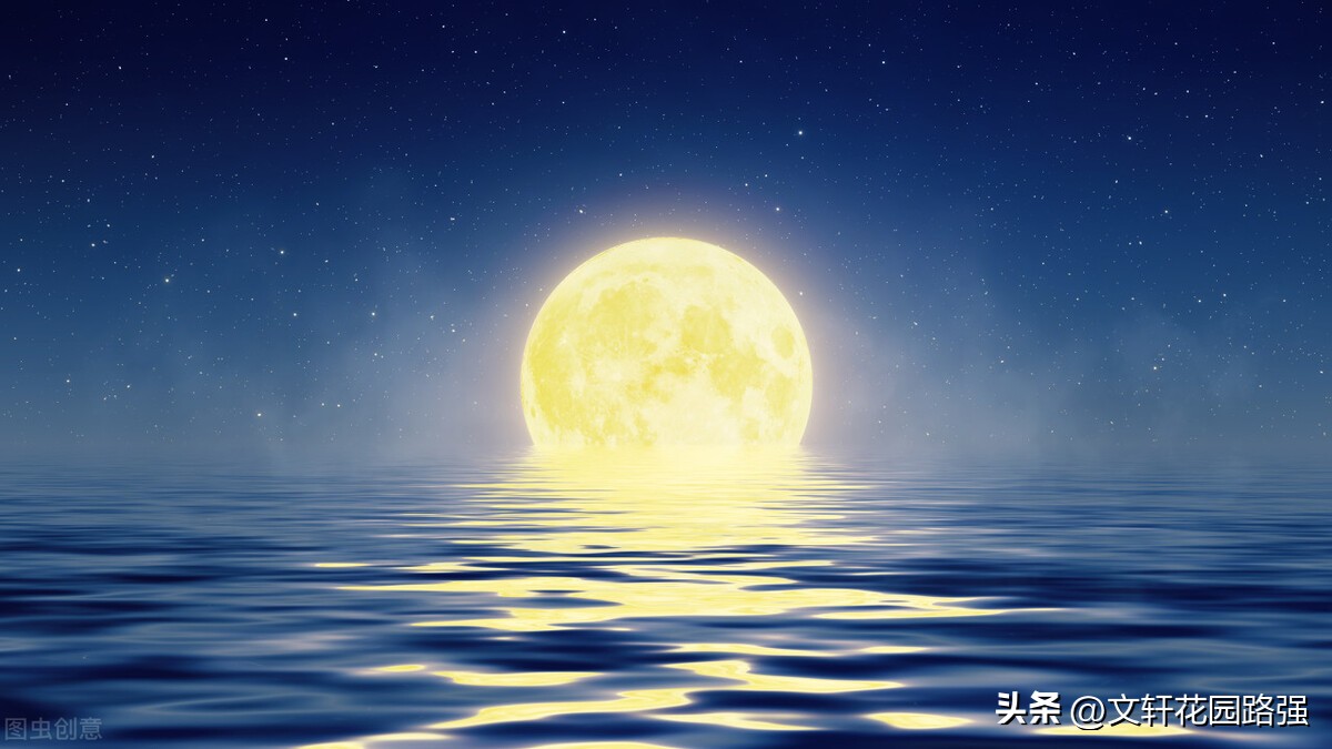 关于中秋节或带有月的古诗词,中秋月月到中秋偏皎洁赏析