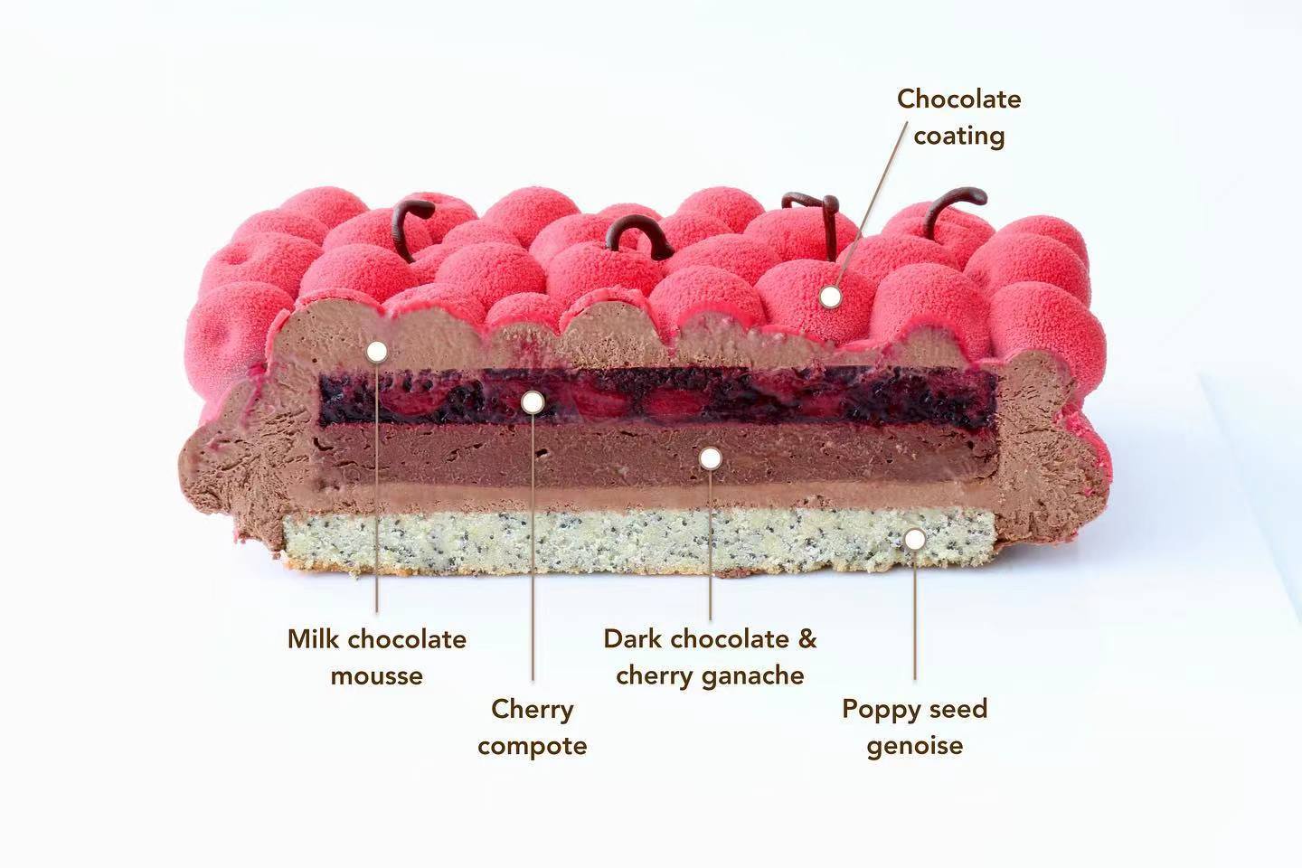 蛋糕切面,蛋糕两层夹心切面图片