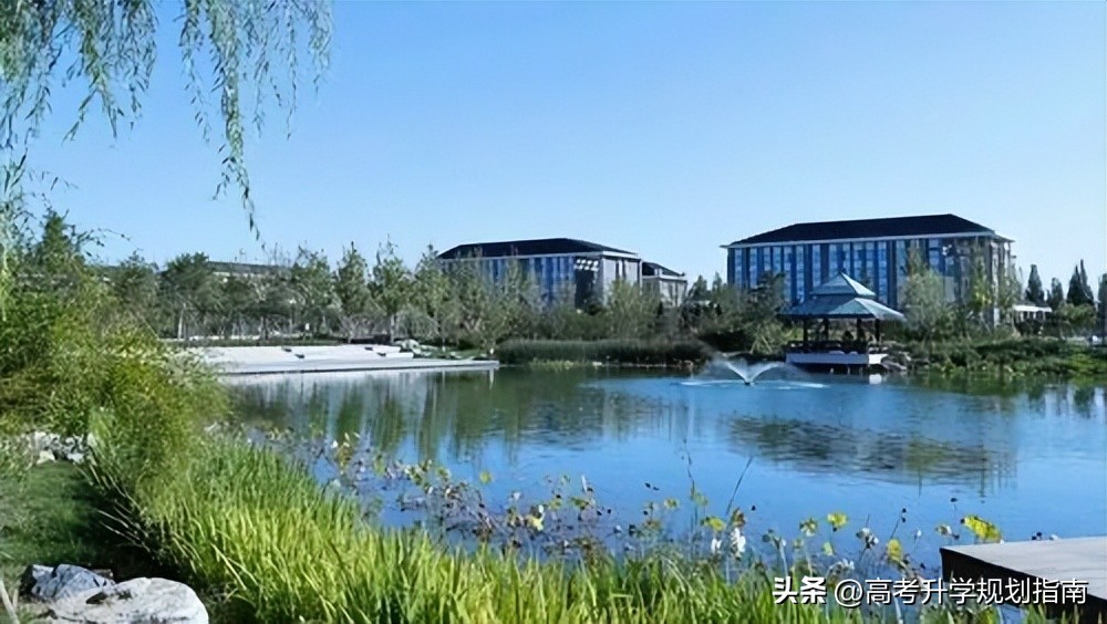 北京中医药大学保研数据,北京中医药大学中药学院保研