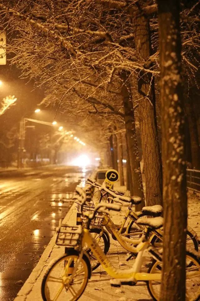 铭记！2022留给你的最后的浪漫