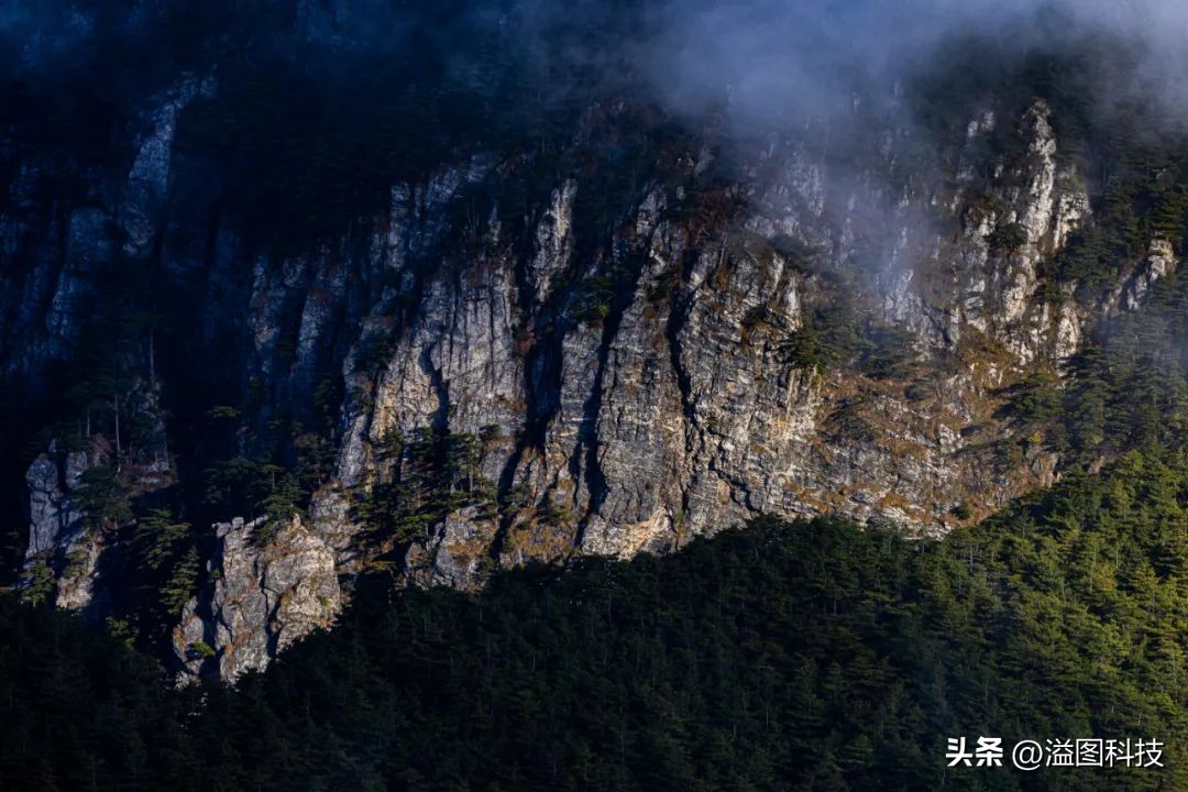 网友推荐好物,网友推荐的好物