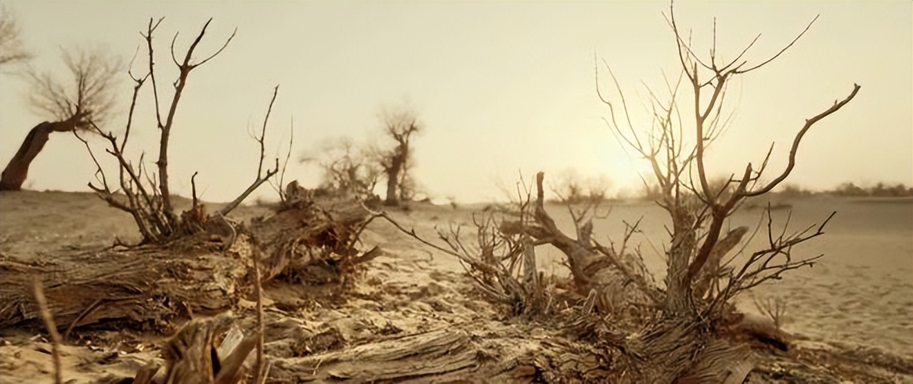 这群人想方设法，终于在沙漠中心洗上了热水澡