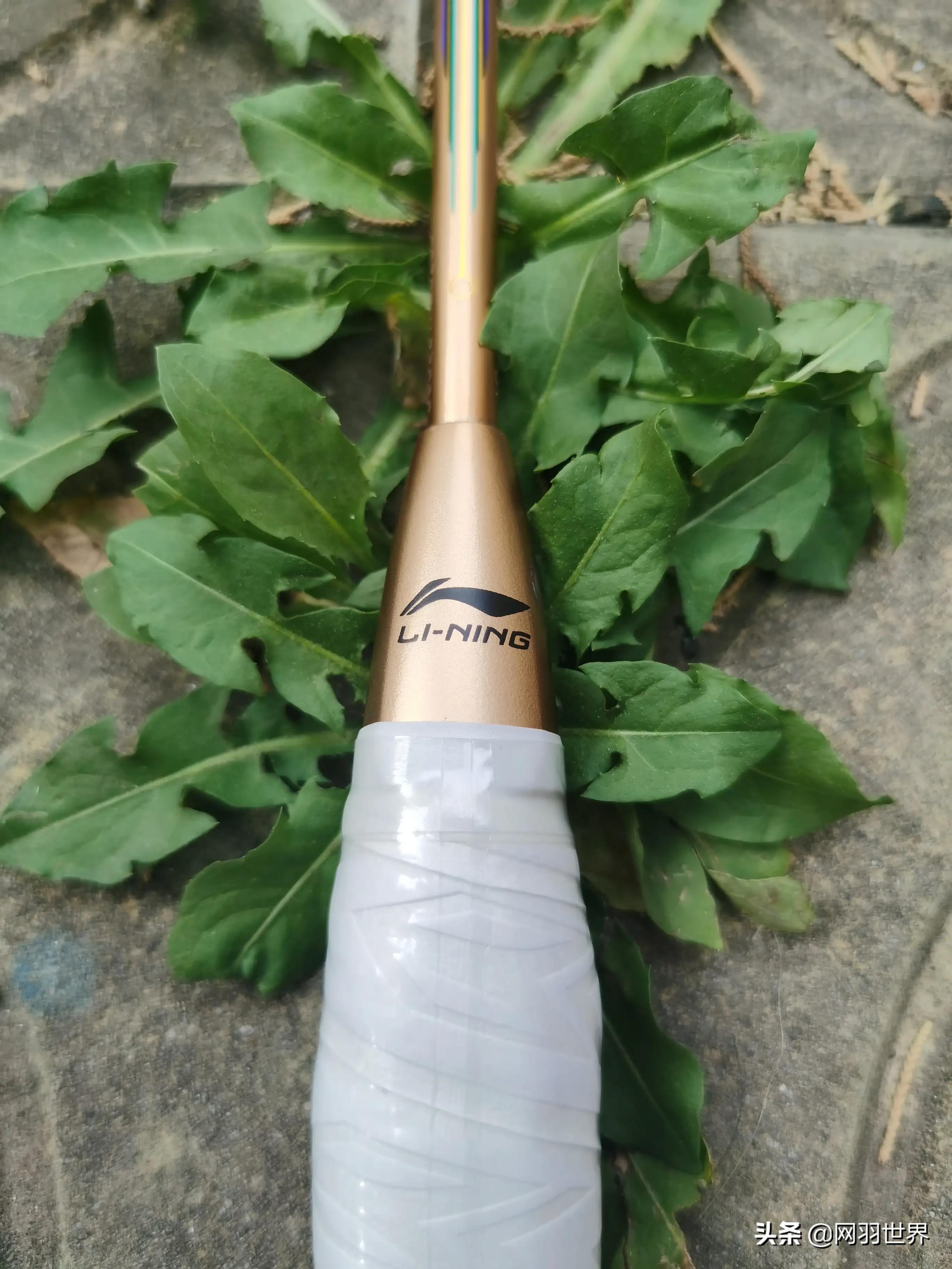 李宁羽拍天花板，贵不贵？你们说的算