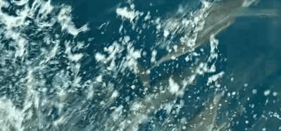 时长超3小时阿凡达2值不值得看 (阿凡达二观看注意事项)