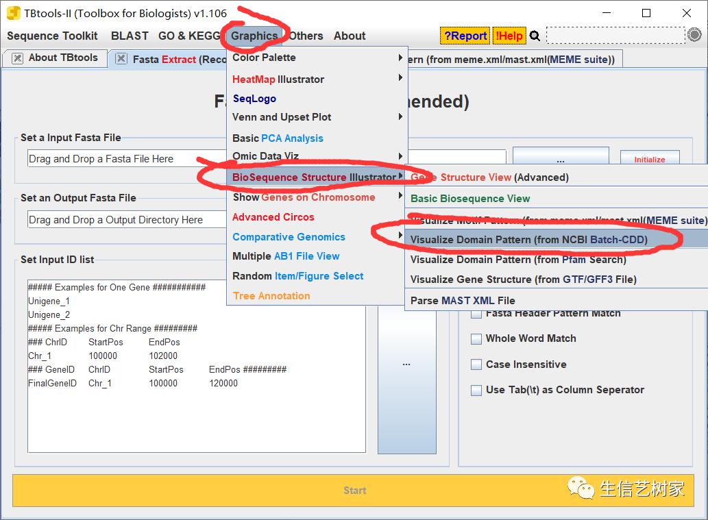TBtools|基因家族分析,进化树、Motifs、结构域