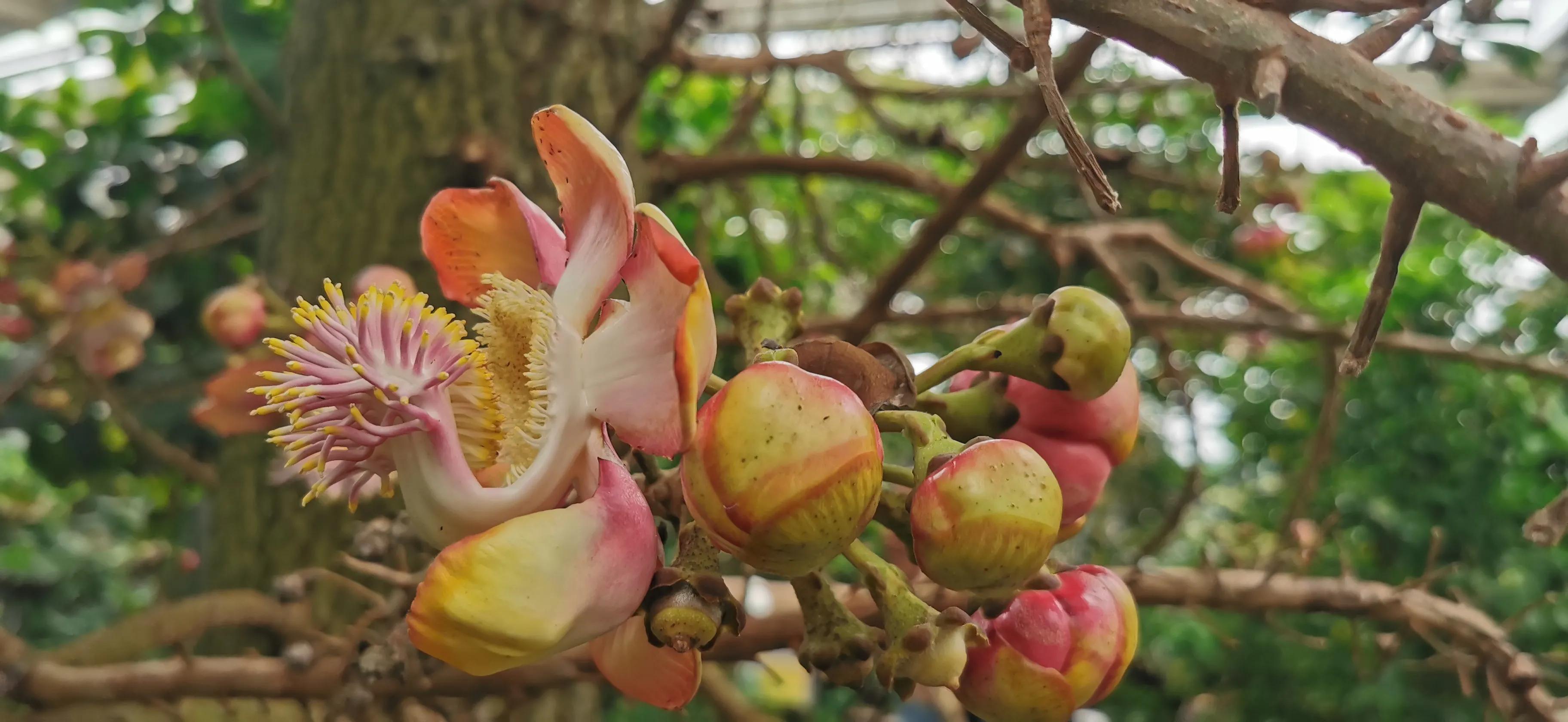 一人一车自驾游装备,两辆车自驾游需要带什么装备