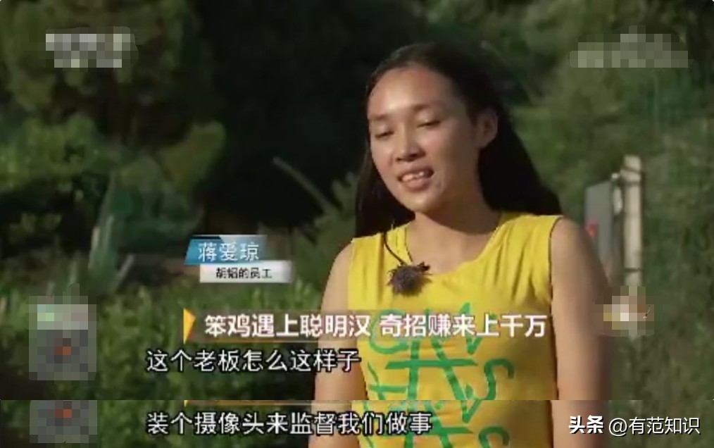 中科院博士裸辞,中科院博士谈裸辞开民宿