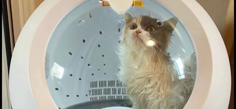 2023生意风口,2024年不可不知的赚钱风口