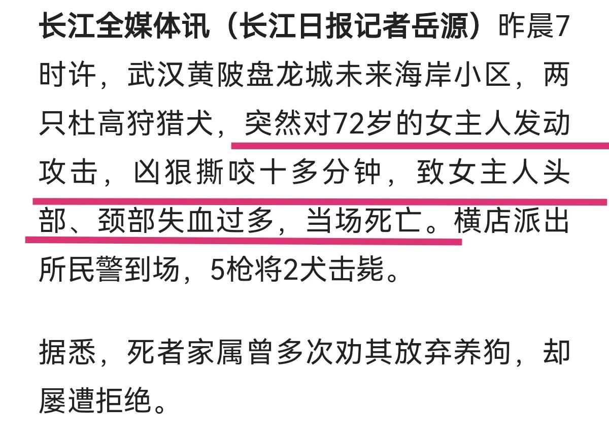 狗是人类的朋友,这是我听过的最冷的笑话