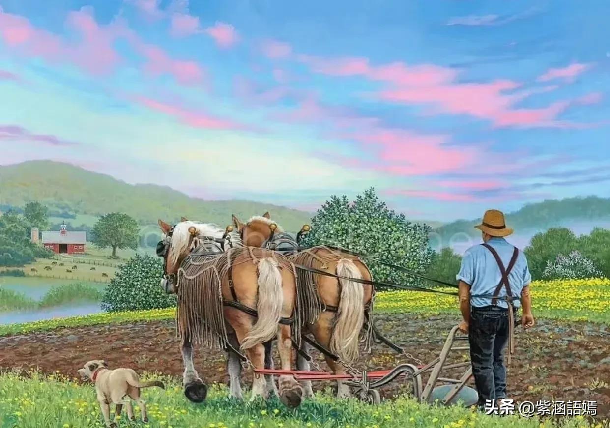 这可能是很多人向往的田园生活吧,向往的田园生活小院