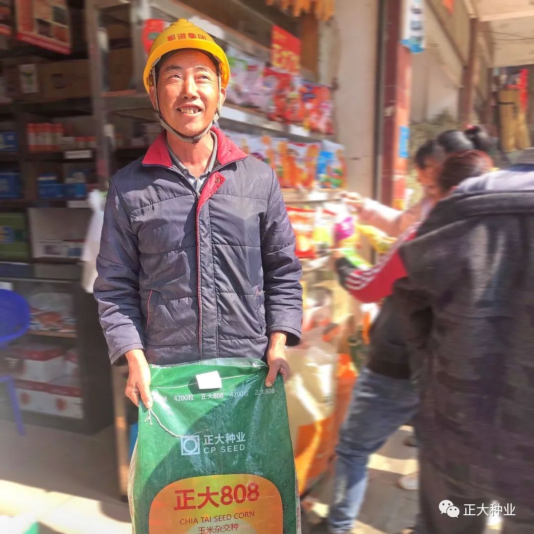 正大808是不是优良品种,正大808和正大769哪个品种更好