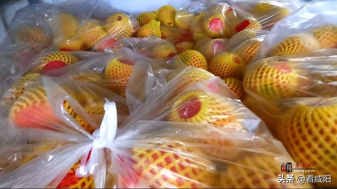 彬州市苹果产业,彬州苹果