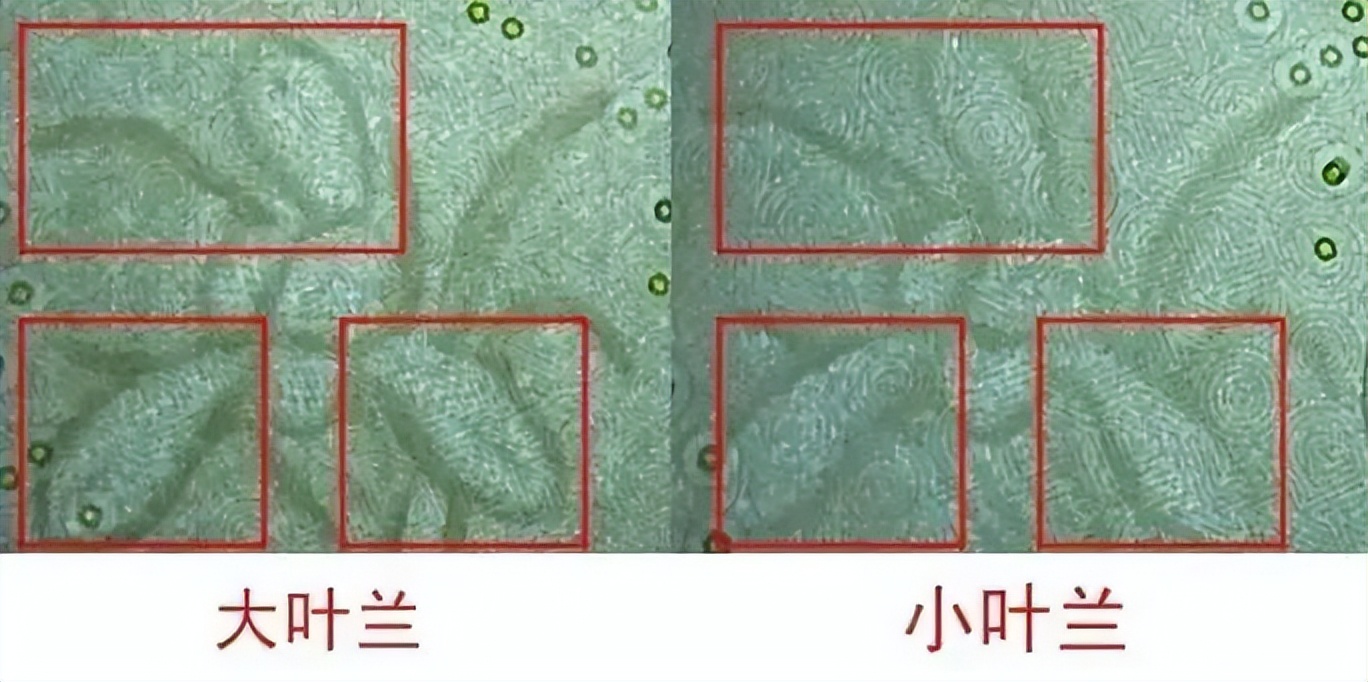 一元纸币退出市场原因视频,1元纸币要退市了吗