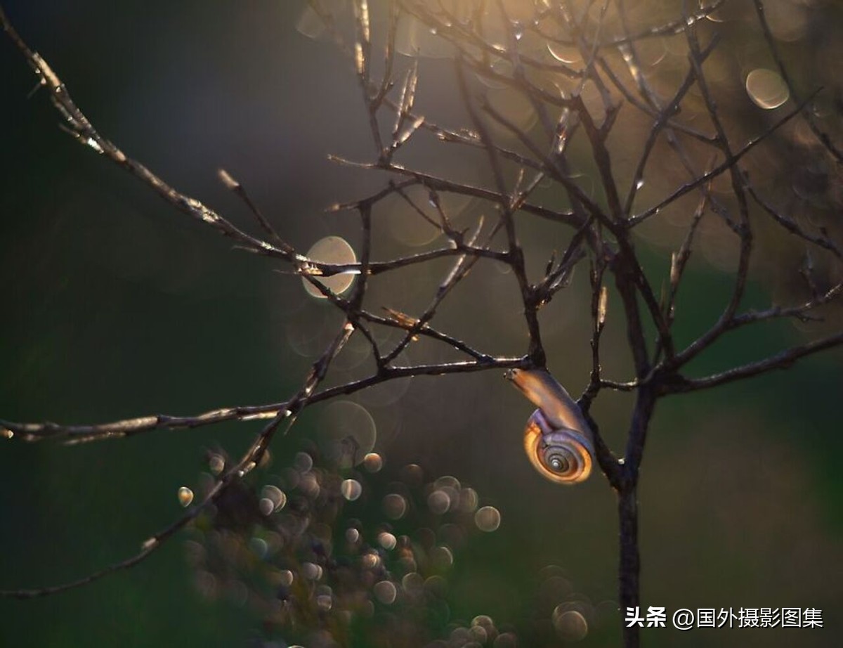 最美的景色秋天照片高清,夏天和秋天的绝美照片